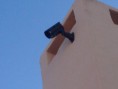 /album/fotogaleria-inicio/a936631-503183653123211-1331843014-n-jpg/